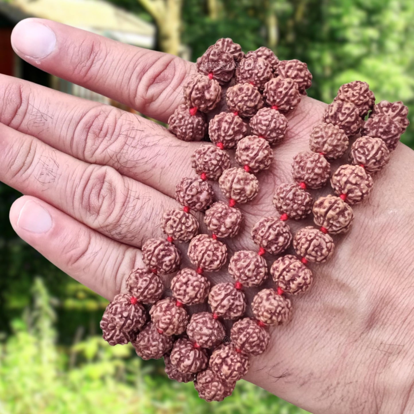 Apnisanskriti Premium Lab Certified Semi Chikni Pathri Rudraksha Mala 13mm (Pack of 1)