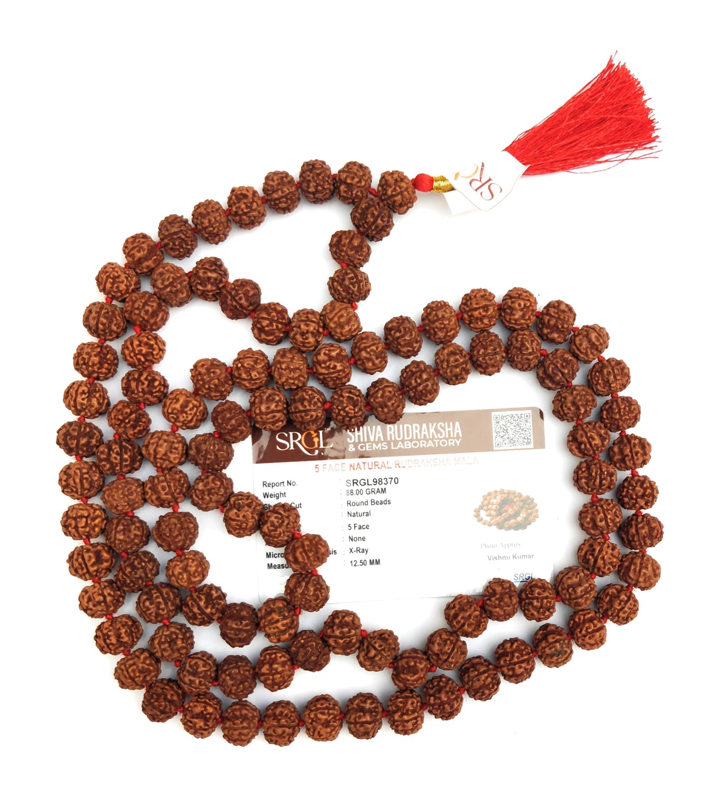 Apnisanskriti Premium Lab Certified Semi Chikni Pathri Rudraksha Mala 13mm (Pack of 1)