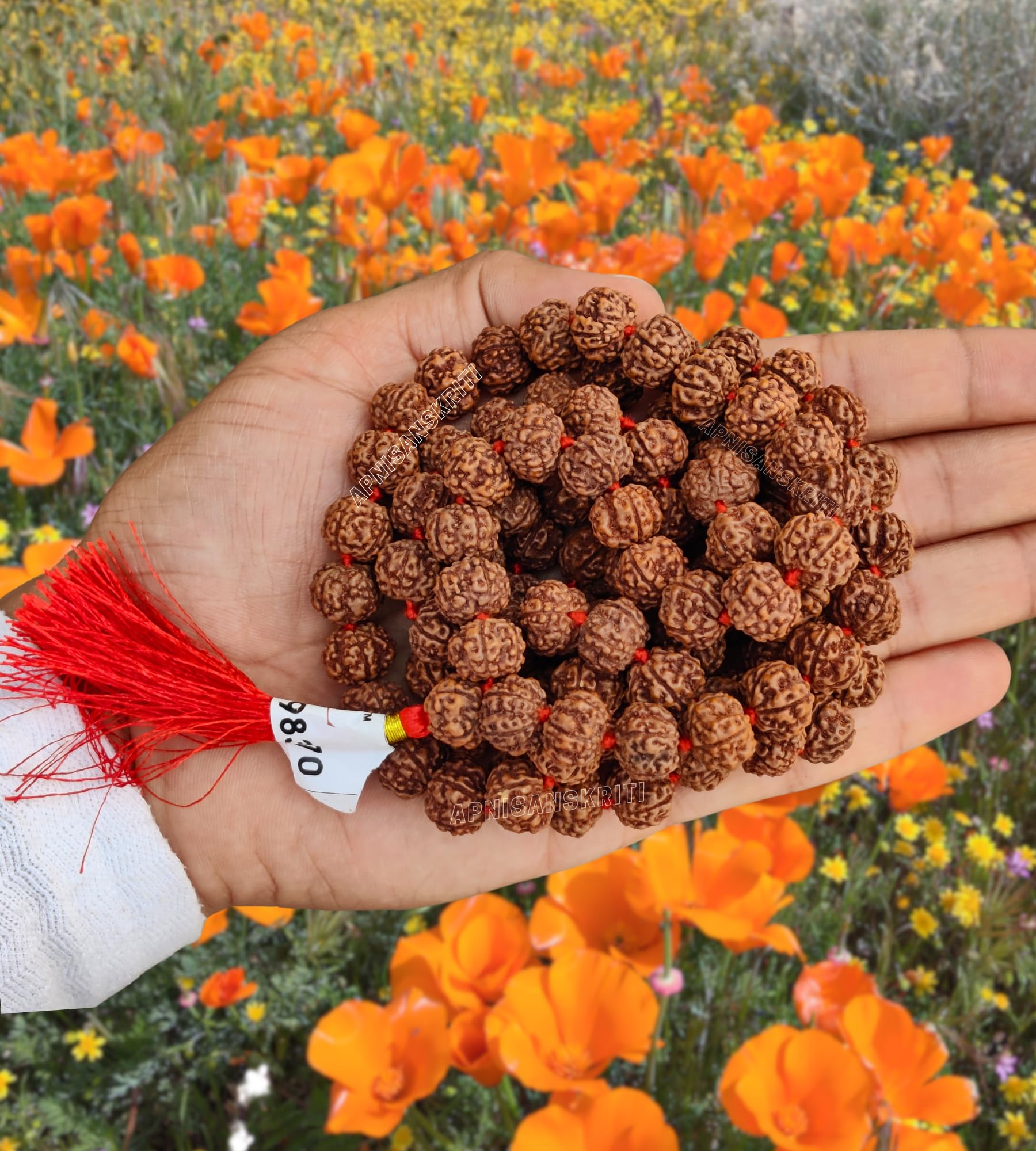 Rudraksha