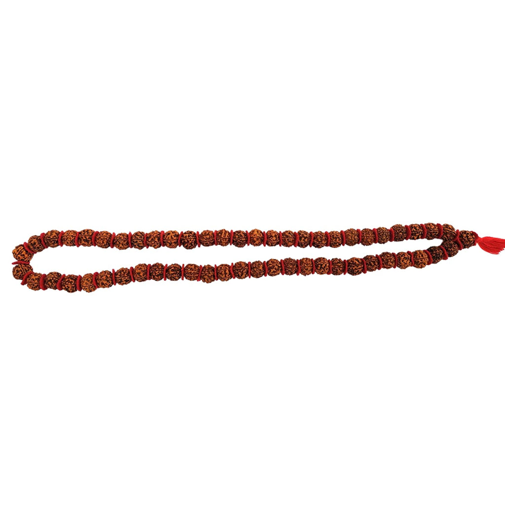 Apnisanskriti 5 Mukhi Rudraksha Kantha Mala for Jaap and Men/Women Wearing (20 mm, 54 Beads, Natural Colour Rudraksha Beads, Lab Certified) - Pack of 1