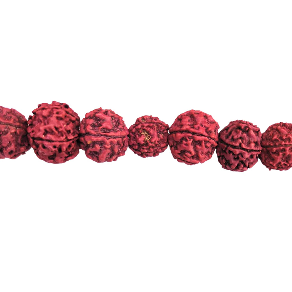 Apnisanskriti 5 Mukhi Rudraksha Morangi Mala for Jaap and Men/Women Wearing (20 mm, 108+1 Beads, Morangi Colour Rudraksha Beads, Lab Certified) - Pack of 1