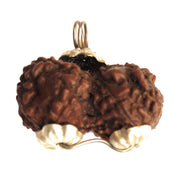 Apnisanskriti Nepal Gauri Shankar Rudraksha Locket for Men/Women Wearing - Natural Brown Lab Certified Rudraksh (Big Size, 23 mm) - Pack of 1