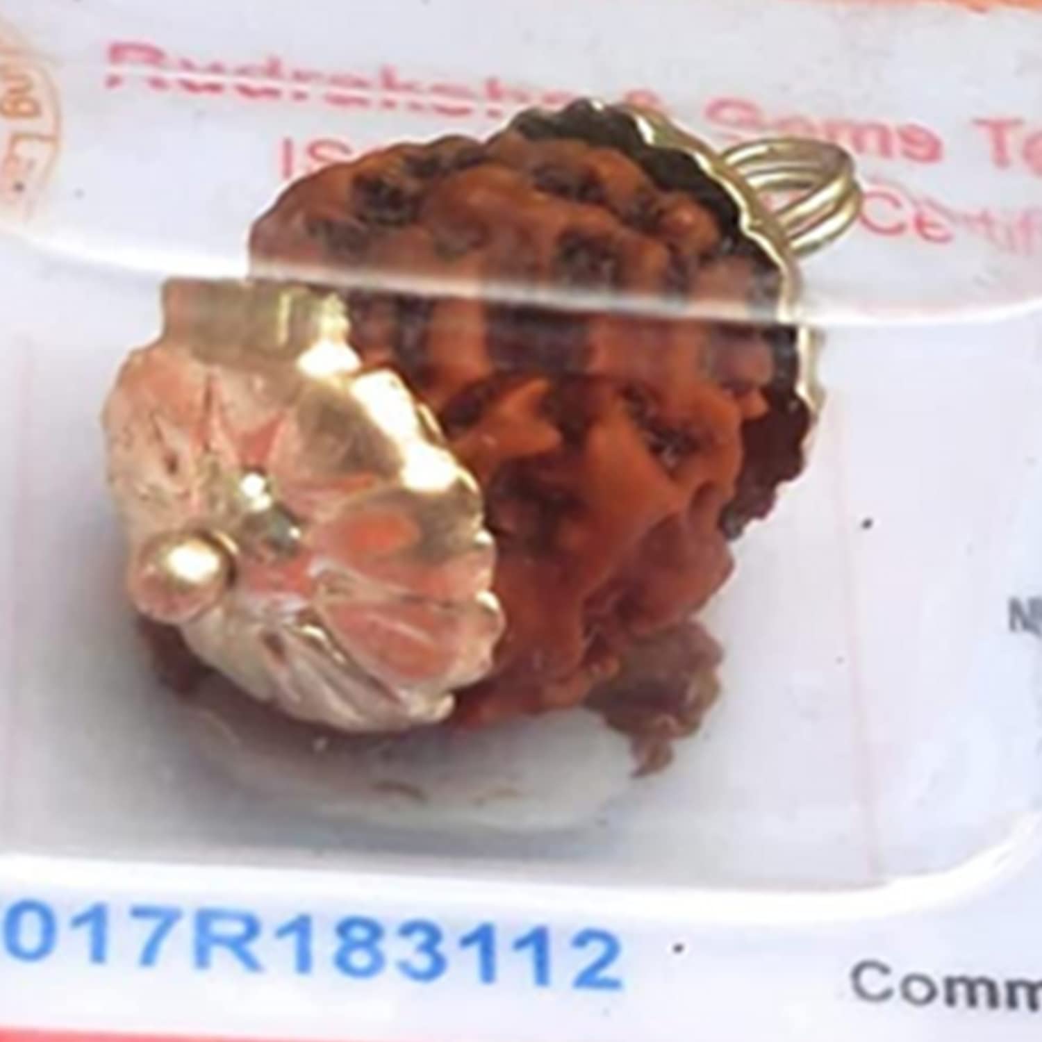 Apnisanskriti 4 Mukhi Rudraksh Locket (Metal Cap, Lab Certified) - Four Faces Natural Rudraksh - Pack of 1