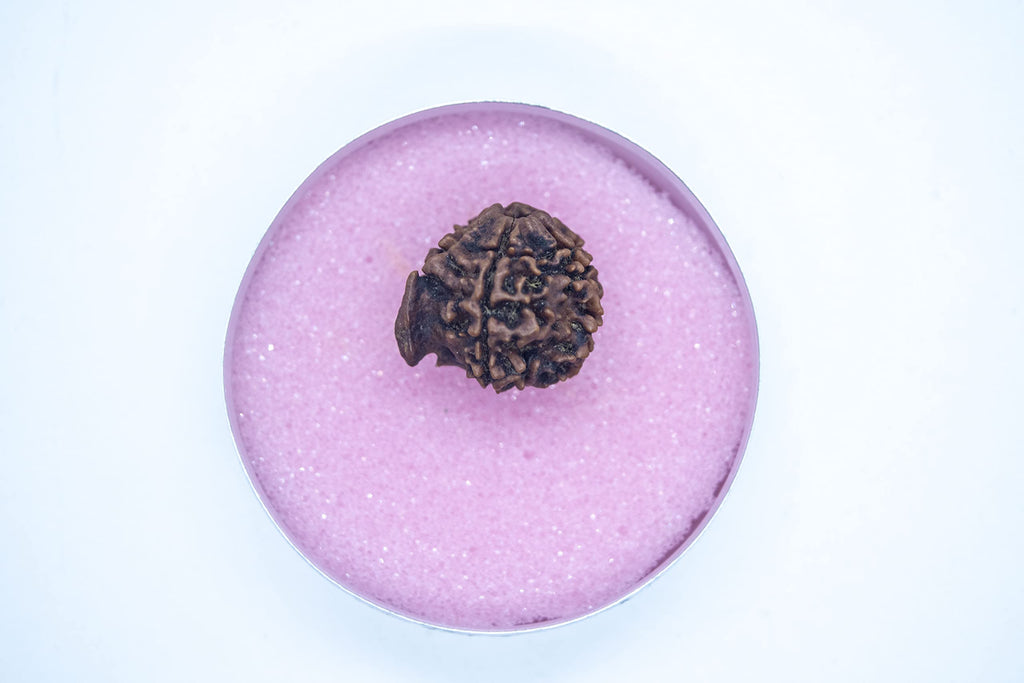 Apnisanskriti Ganesha Rudraksha Bead - Natural Brown 5 Mukhi Rudraksh (Five Face, Lab Certified ) - Pack of 1