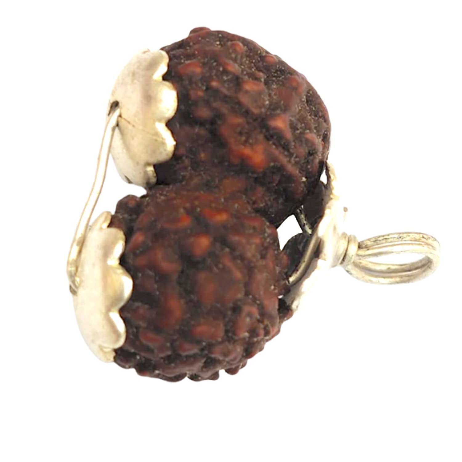 Apnisanskriti Nepal Gauri Shankar Rudraksha Locket for Men/Women Wearing - Natural Brown Lab Certified Rudraksh (Big Size, 23 mm) - Pack of 1