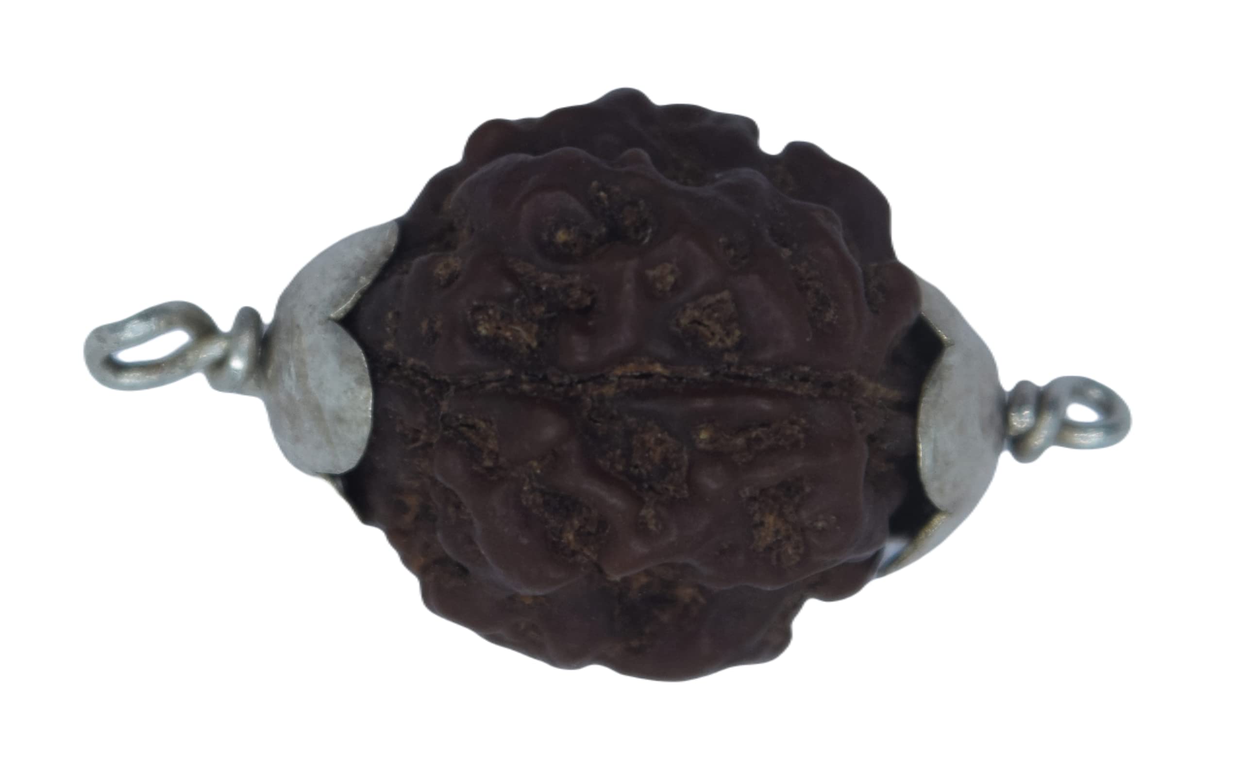 Apnisanskriti 3 Mukhi Rudraksh Locket (Metal Cap, Lab Certified) - Three Face Natural Rudraksh - Pack of 1