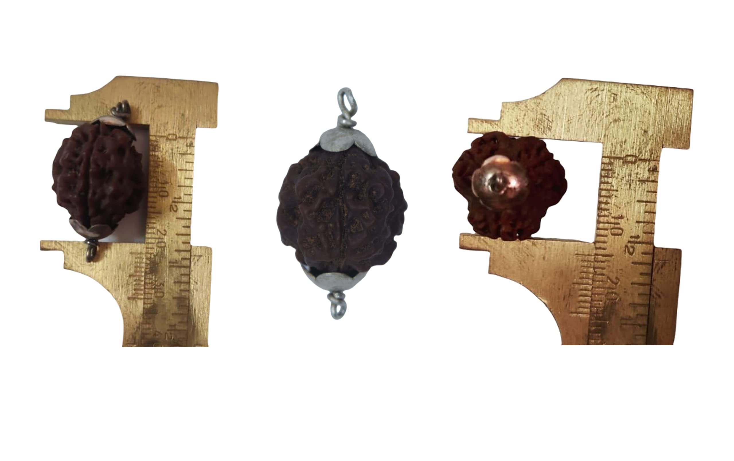 Apnisanskriti 3 Mukhi Rudraksh Locket (Metal Cap, Lab Certified) - Three Face Natural Rudraksh - Pack of 1