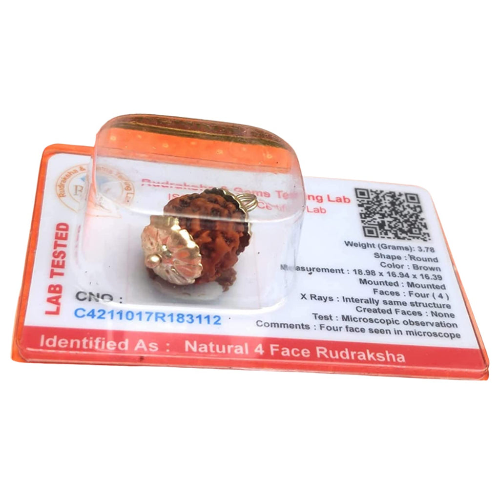 Apnisanskriti 4 Mukhi Rudraksh Locket (Metal Cap, Lab Certified) - Four Faces Natural Rudraksh - Pack of 1
