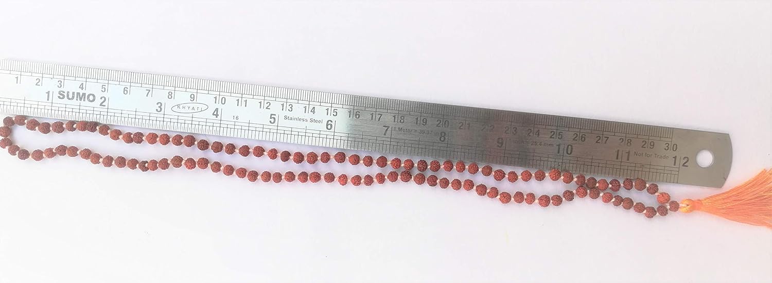 5564