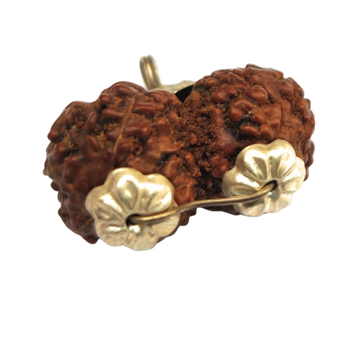 Apnisanskriti Nepal Gauri Shankar Rudraksha Locket for Men/Women Wearing - Natural Brown Lab Certified Rudraksh (Big Size, 23 mm) - Pack of 1