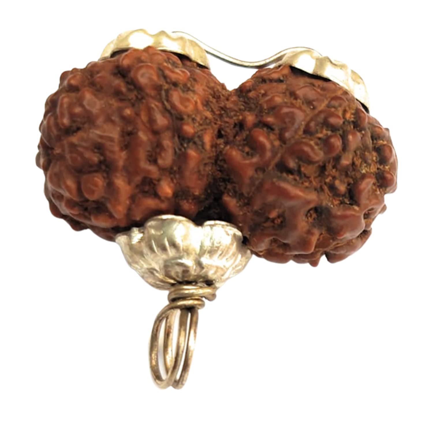 Apnisanskriti Nepal Gauri Shankar Rudraksha Locket for Men/Women Wearing - Natural Brown Lab Certified Rudraksh (Big Size, 23 mm) - Pack of 1