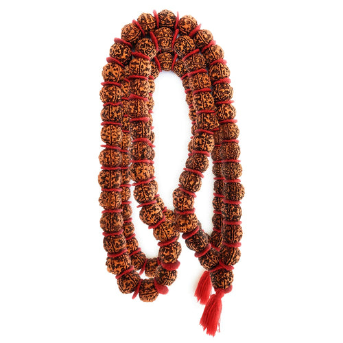 Apnisanskriti 5 Mukhi Rudraksha Kantha Mala for Jaap and Men/Women Wearing (20 mm, 54 Beads, Natural Colour Rudraksha Beads, Lab Certified) - Pack of 1