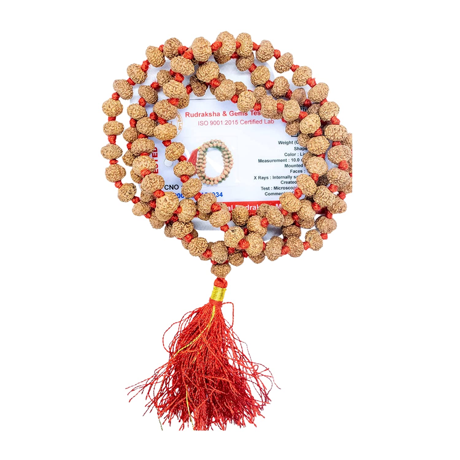 Apnisanskriti 2-10 Mukhi Rudraksha Beads Mala (108 Beads, Lab Certified) - Natural Rudraksha Beads - Pack of 1