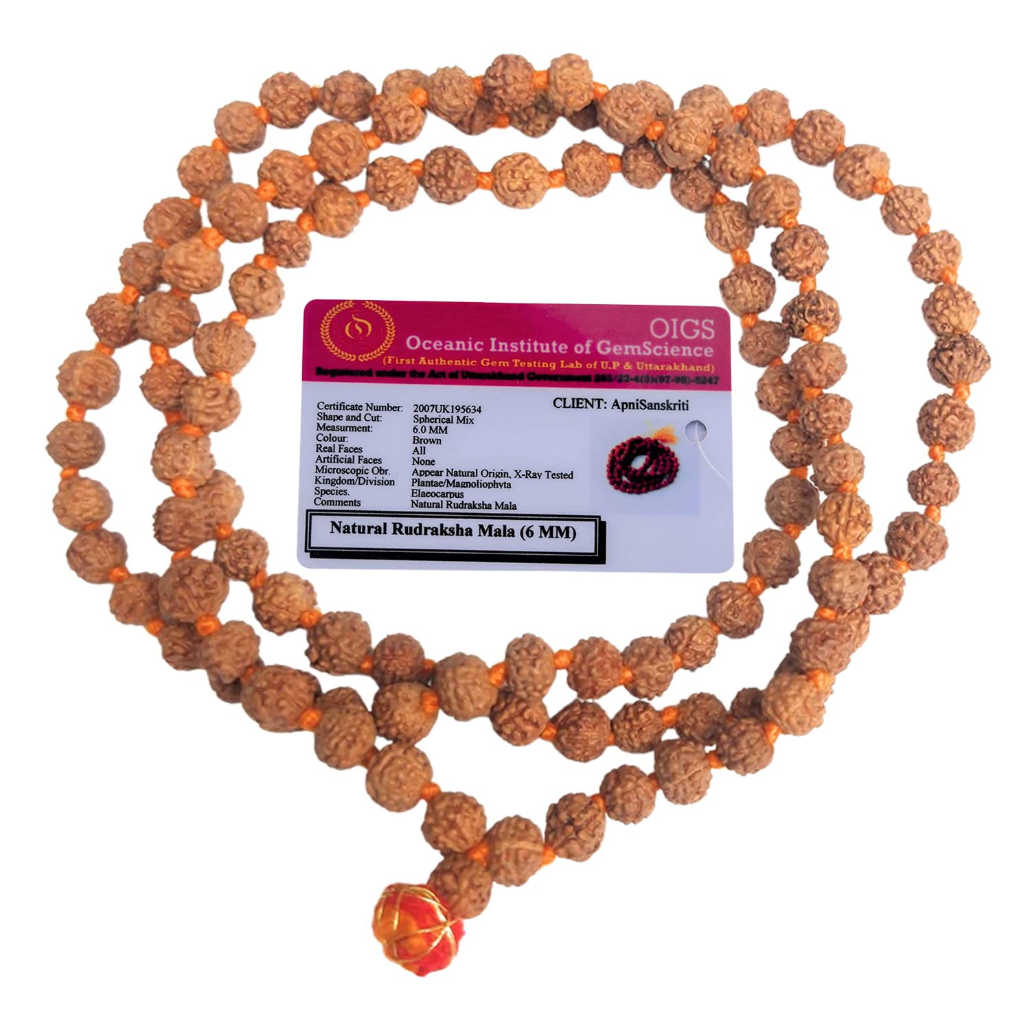 Apnisanskriti 5 Mukhi Rudraksha Mala for Men/Women Wearing (6mm, Chest Length, 108+1, Untreated Natural Colour, Lab Certified) - Pack of 1
