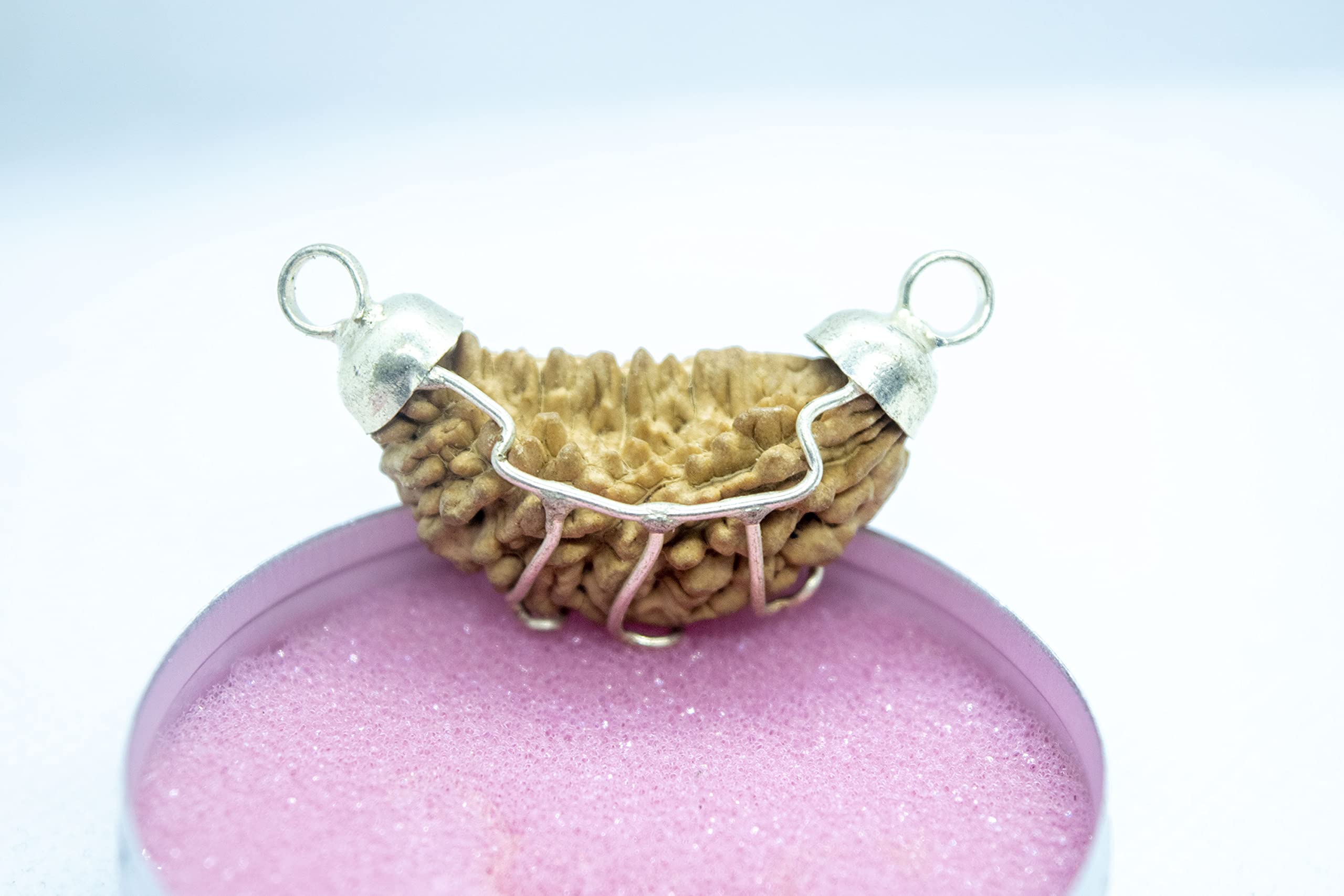 Apnisanskriti Ek Mukhi Rudraksh Beads with Pendant (Lab Certified, Natural Rudraksh, Silver Plated) - Brown and Silver - Pack of 1