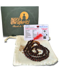 Apnisanskriti 5 Mukhi Black Rudraksha Mala (108+1 Beads, Lab Certified) Natural Black Rudraksha Beads
