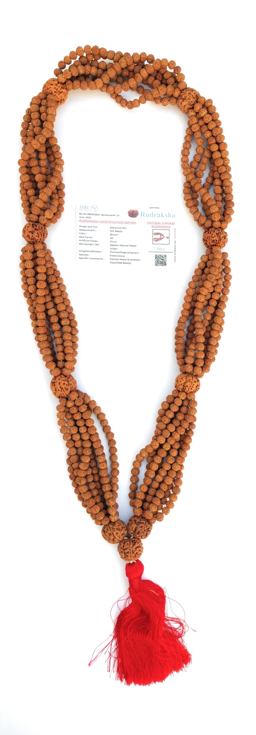 Apnisanskriti Premium Rudrakasha Mala 1008 Beads Mala Premium (Nepali Quality) for Men and Women - Pack of 1