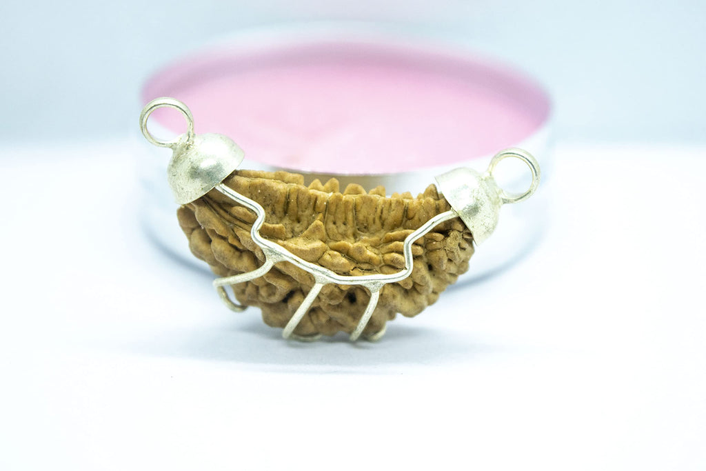 Apnisanskriti Ek Mukhi Rudraksh Beads with Pendant (Lab Certified, Natural Rudraksh, Silver Plated) - Brown and Silver - Pack of 1