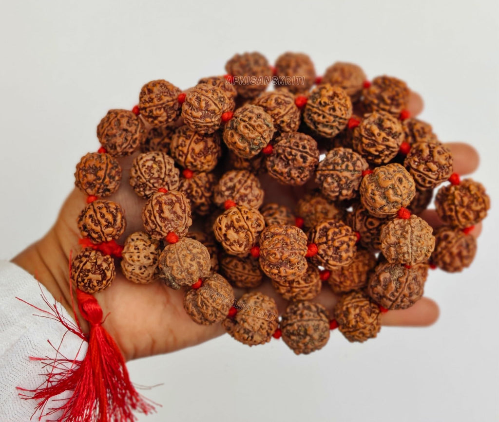Apnisanskriti 5 Mukhi Rudraksha Mala for Men/Women Wearing (108+1, Lab Certified, Natural Brown Rudraksha Beads)