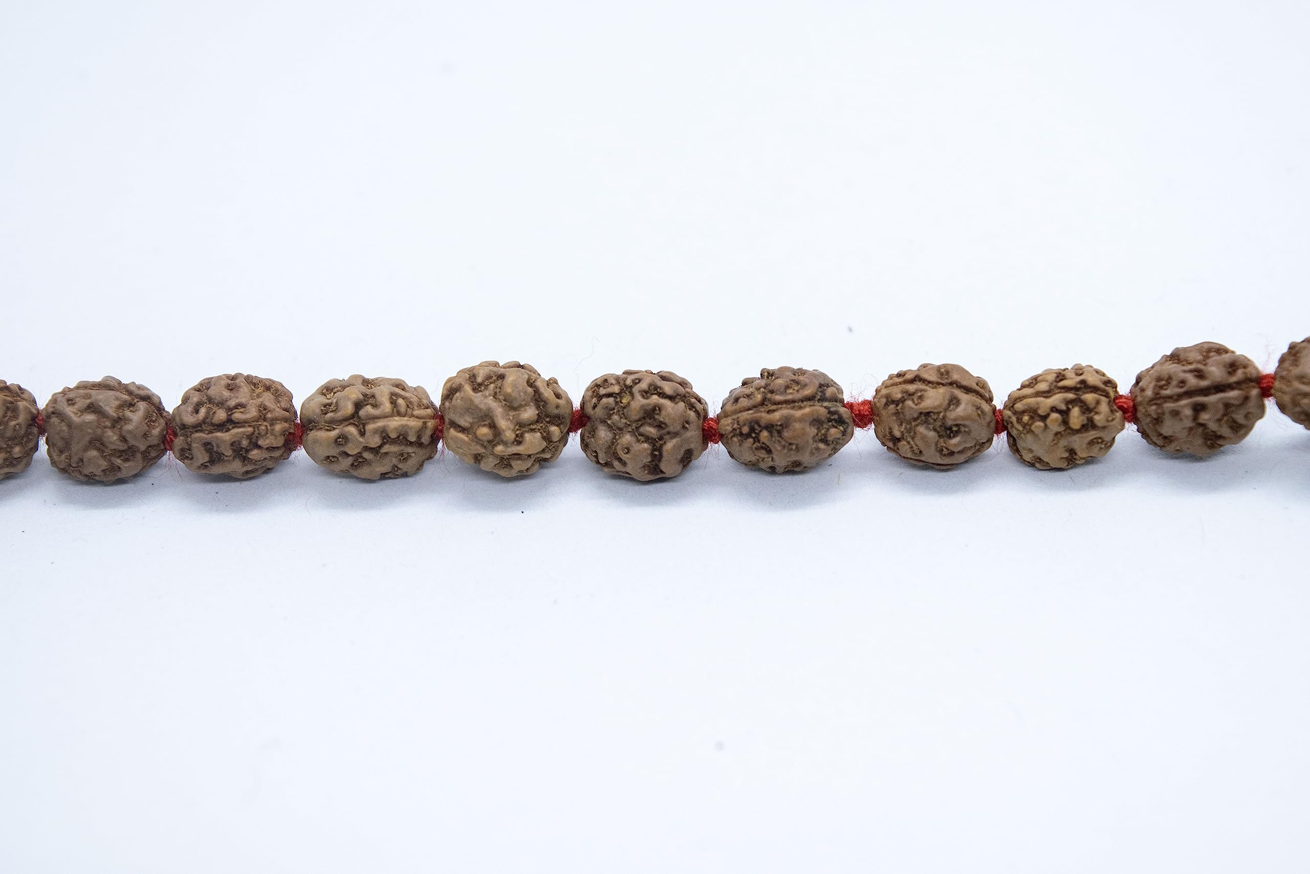 Apnisanskriti 2-10 Mukhi Rudraksha Beads Mala (108 Beads, Lab Certified) - Natural Rudraksha Beads - Pack of 1