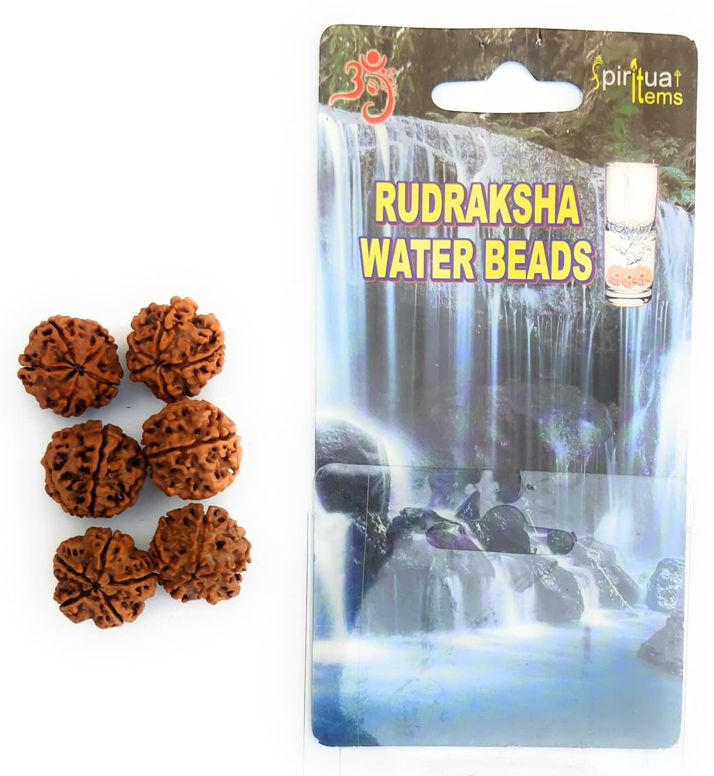 Apnisanskriti 5 Mukhi Rudraksha Water Bead - Natural Brown Five Face Rudraksh (Big Size, Lab Certified) - Pack of 6