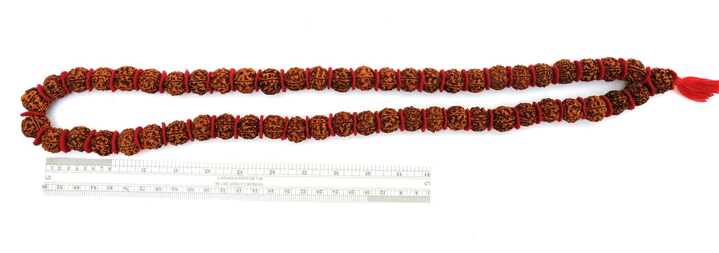 Apnisanskriti 5 Mukhi Rudraksha Mala for Men/Women Wearing (108+1, Lab Certified, Natural Brown Rudraksha Beads)