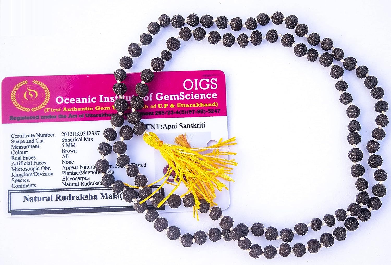 Apnisanskriti 5 Mukhi Black Rudraksha Mala (108+1 Beads, Lab Certified) Natural Black Rudraksha Beads