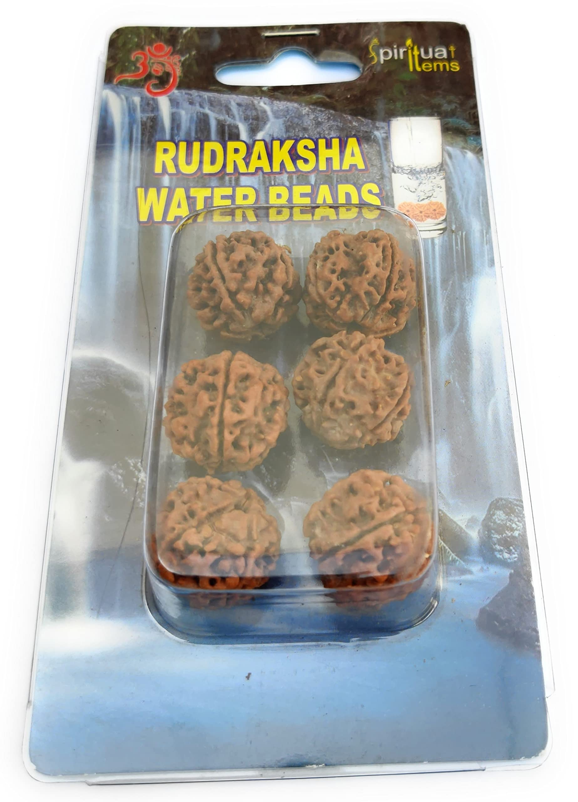 Apnisanskriti 5 Mukhi Rudraksha Water Bead - Natural Brown Five Face Rudraksh (Big Size, Lab Certified) - Pack of 6