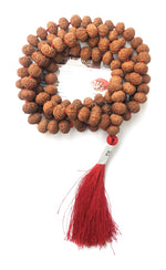 Apnisanskriti 10 Mukhi Rudraksha Beads Mala (13-15Mm, 108 Beads, 10 Faces, Lab Certified) - Natural Rudraksha Beads - Pack Of 1