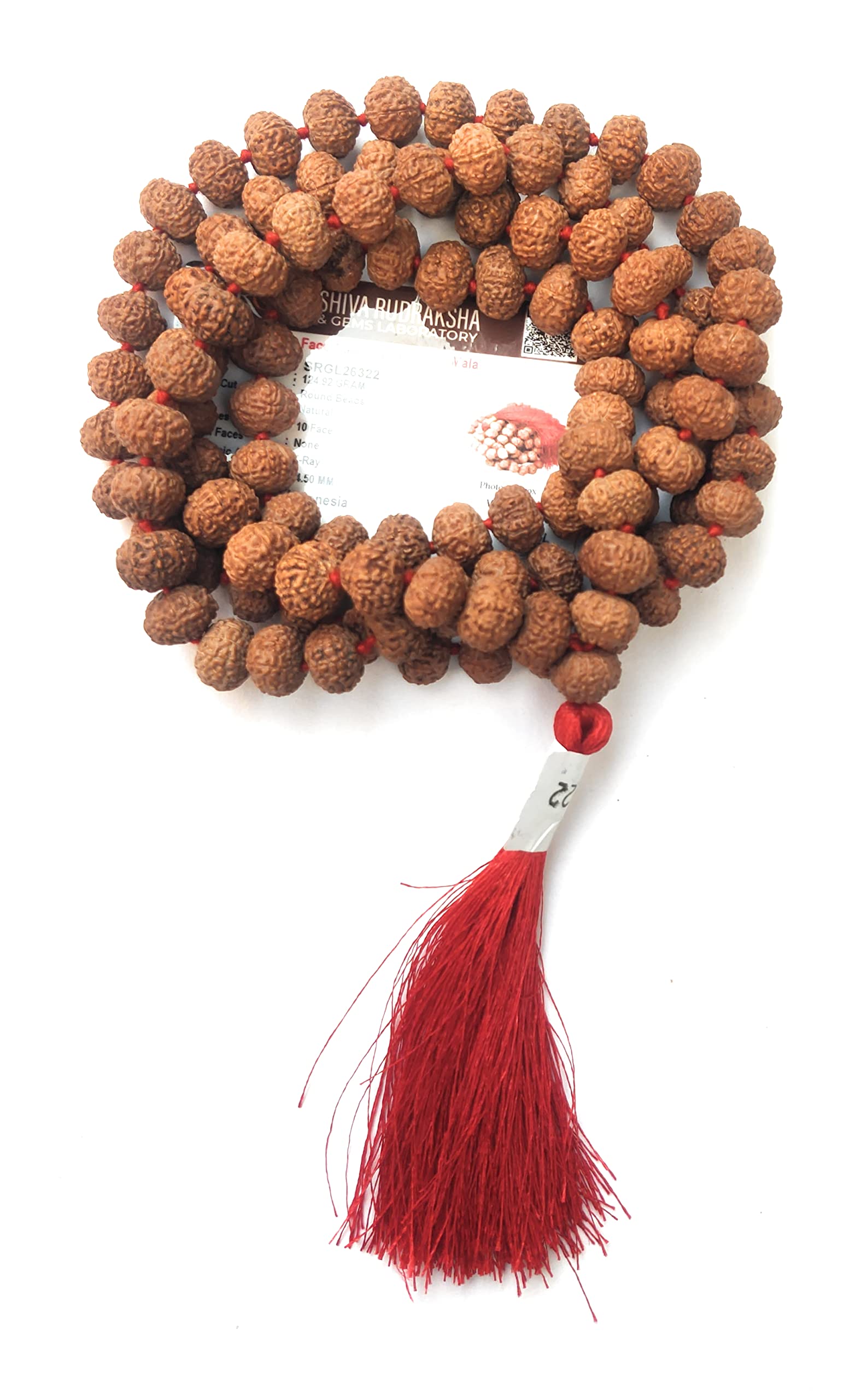 Apnisanskriti 10 Mukhi Rudraksha Beads Mala (13-15Mm, 108 Beads, 10 Faces, Lab Certified) - Natural Rudraksha Beads - Pack Of 1