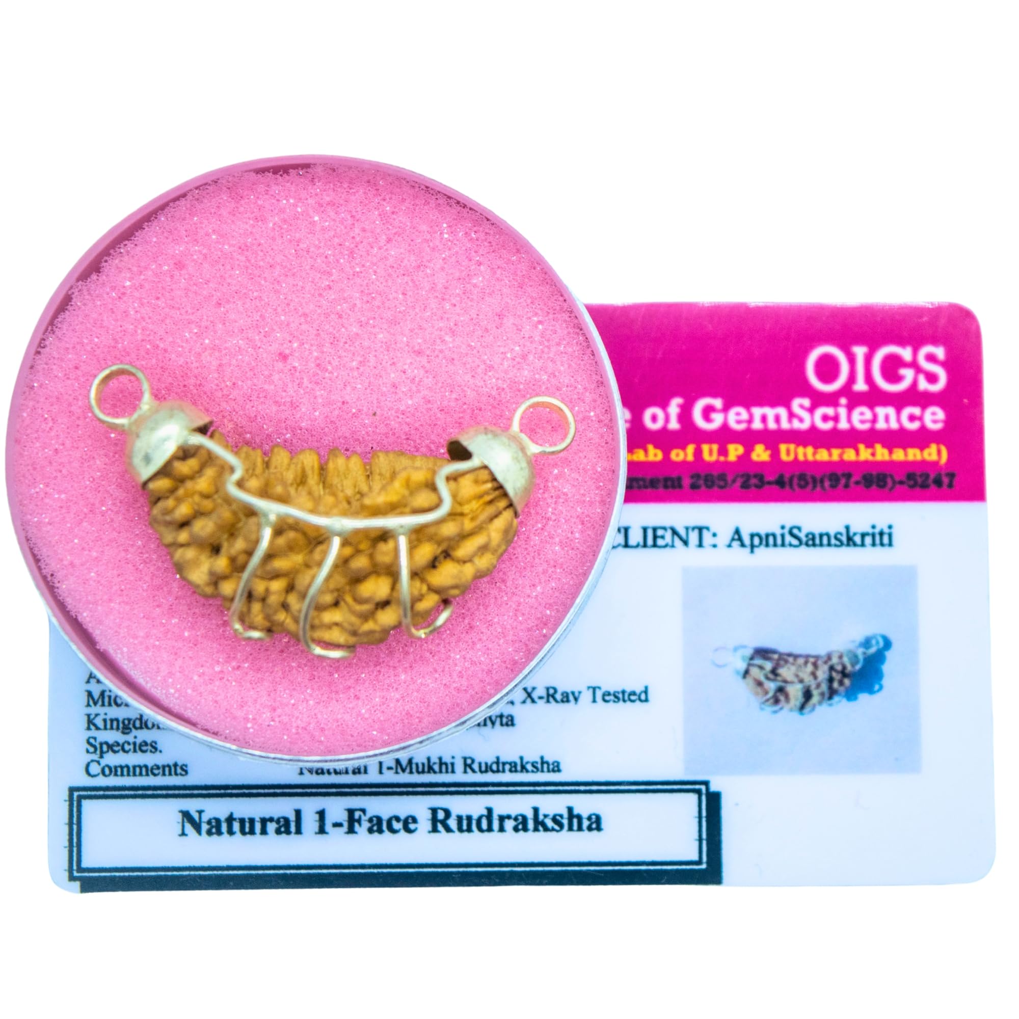 Apnisanskriti Ek Mukhi Rudraksh Beads with Pendant (Lab Certified, Natural Rudraksh, Silver Plated) - Brown and Silver - Pack of 1