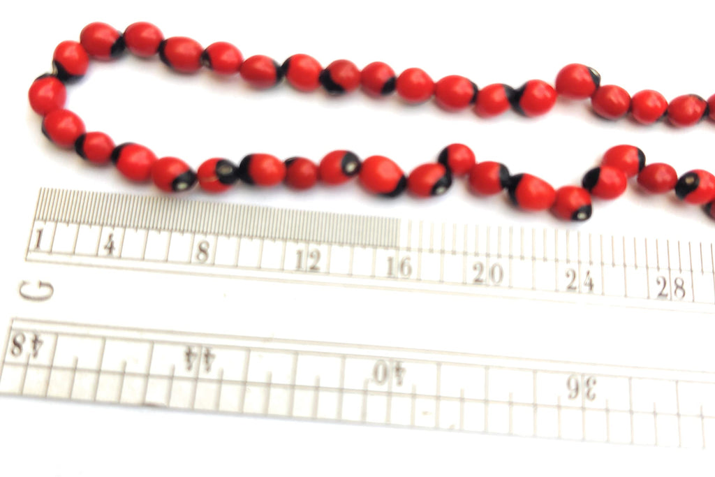 Apnisanskriti Gunja Mala (Gurinvida Mala, Laal Chirmi Mala) For Unisex (108 + 1 Beads) - Red Color - Pack of 1