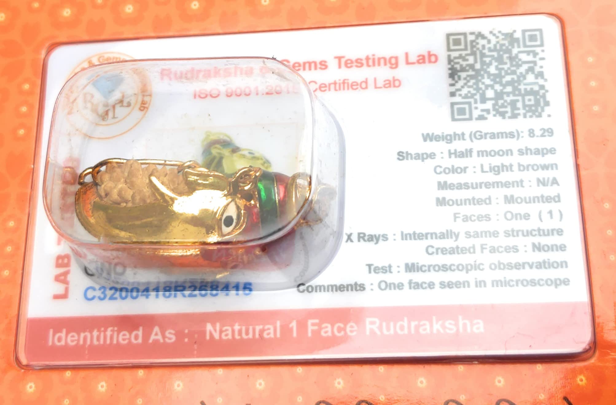 Apnisanskriti Ek Mukhi Rudraksha with Ganesha Padent- Brown - (One Face Rudraksh, Lab Certified) - pack of 1