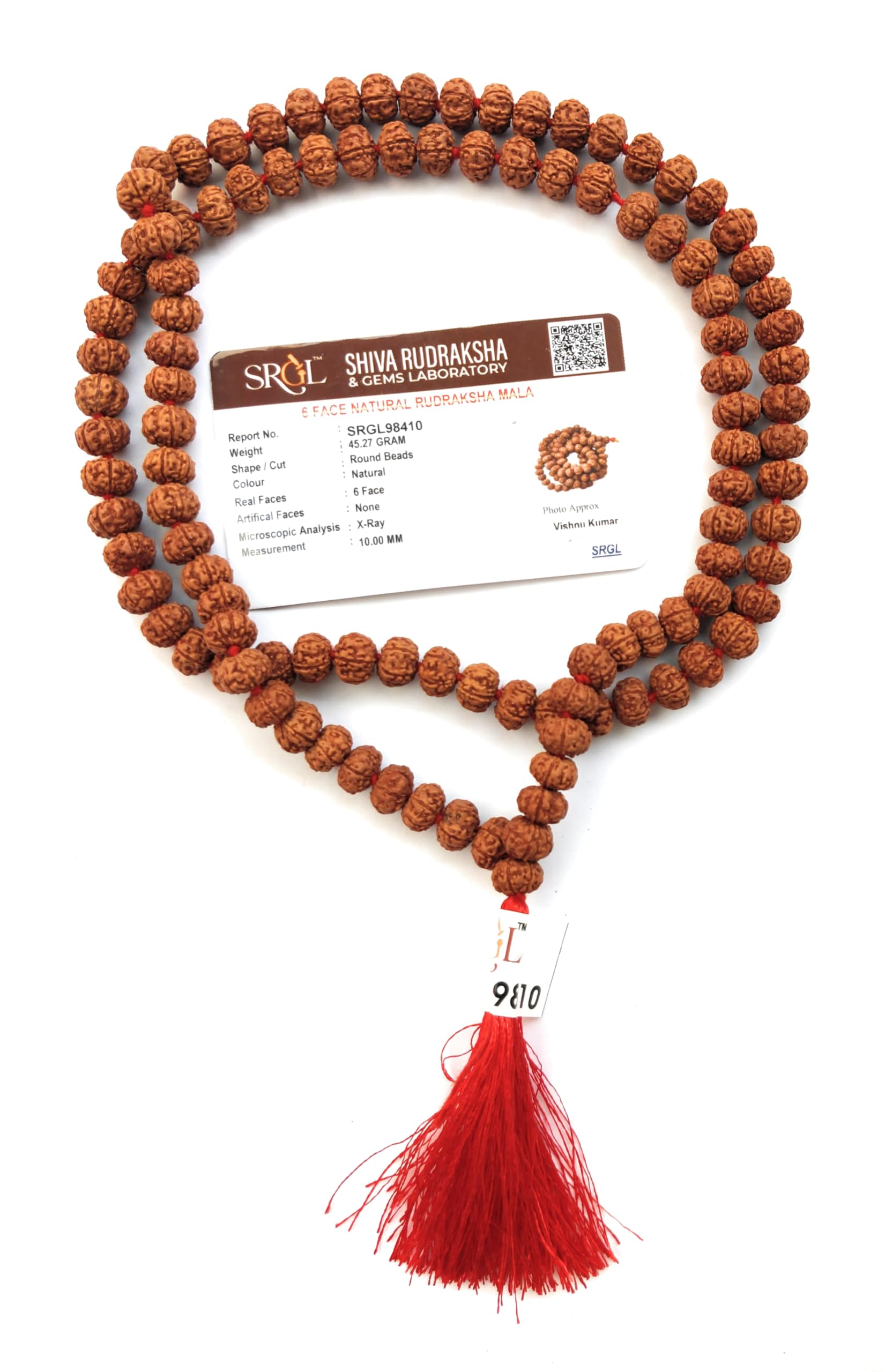 Apnisanskriti Premium Lab Certified 6 Face Rudraksha Mala 9-11mm (Pack of 1)