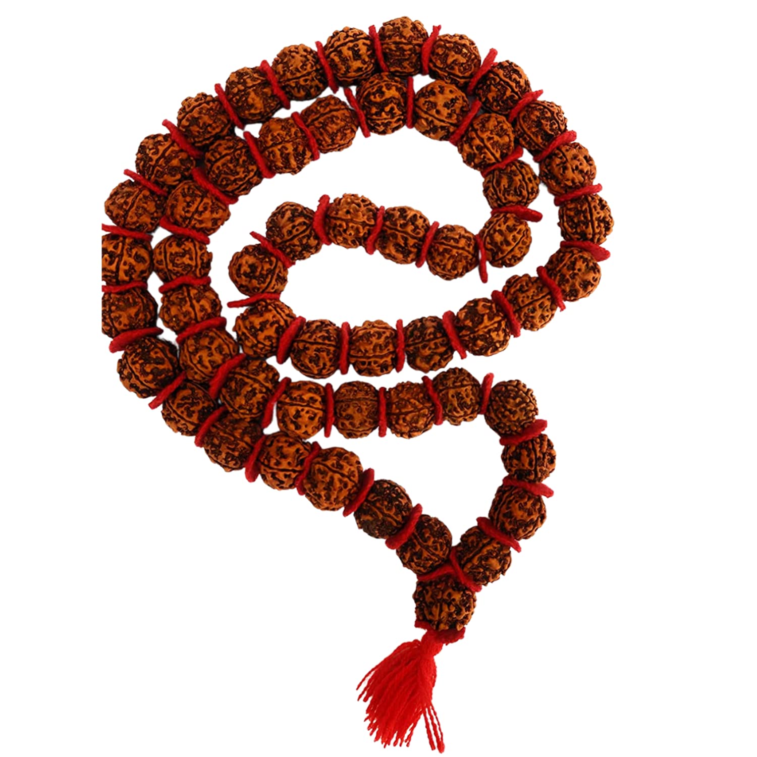 Apnisanskriti 5 Mukhi Rudraksha Kantha Mala for Jaap and Men/Women Wearing (20 mm, 54 Beads, Natural Colour Rudraksha Beads, Lab Certified) - Pack of 1