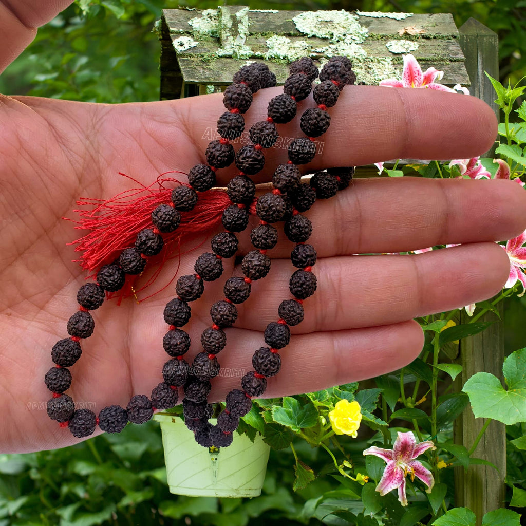 Apnisanskriti 5 Mukhi Black Rudraksha Mala (108+1 Beads, Lab Certified) Natural Black Rudraksha Beads