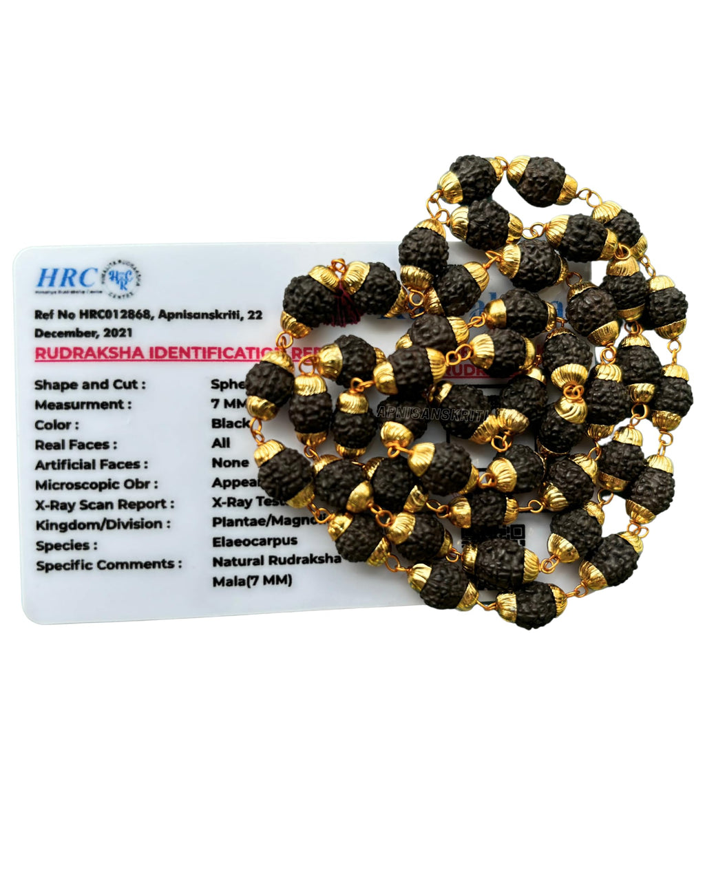 Apnisanskriti Black Rudraksha Mala with Golden Cap for Men/Women Wearing (Lab Certified, Original Black Rudraksh) - Pack of 1