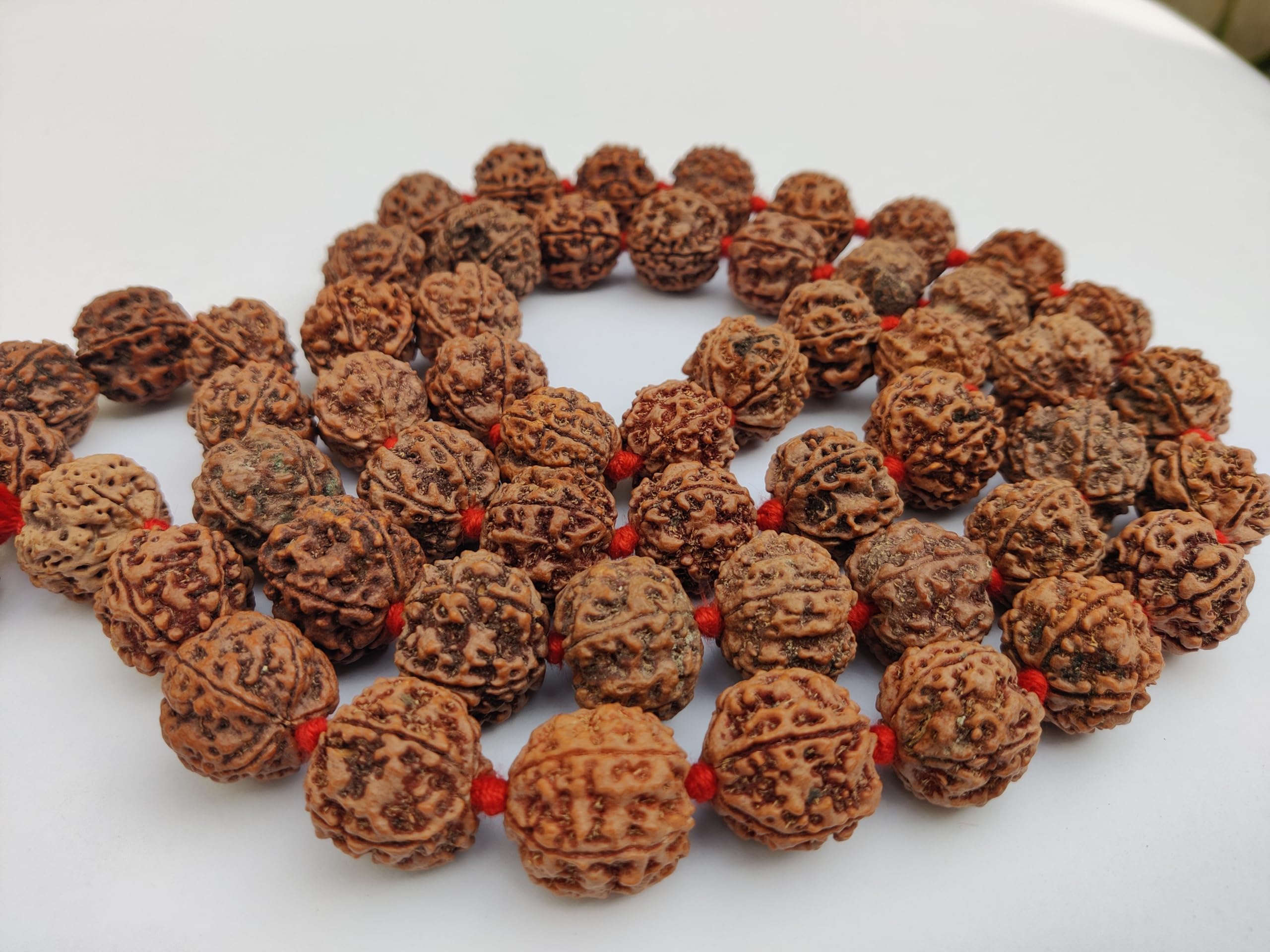 Apnisanskriti 5 Mukhi Rudraksha Mala for Men/Women Wearing (108+1, Lab Certified, Natural Brown Rudraksha Beads)