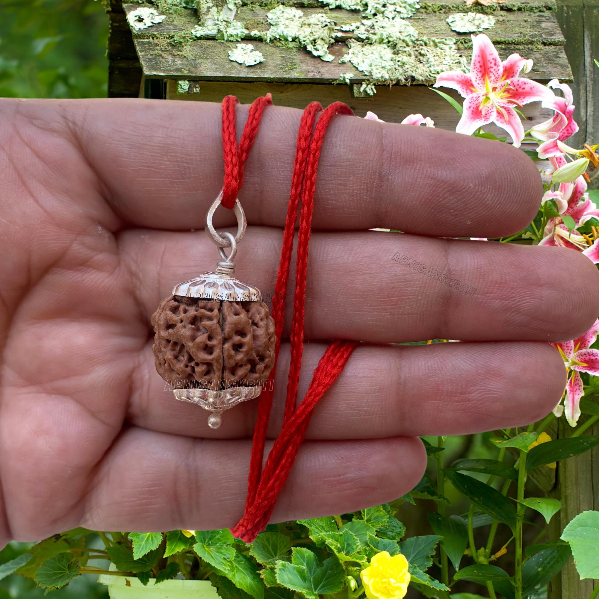 Apnisanskriti Certified Nepali 5 Mukhi Beads with Silver Cap - Natural Beads for Men and Women