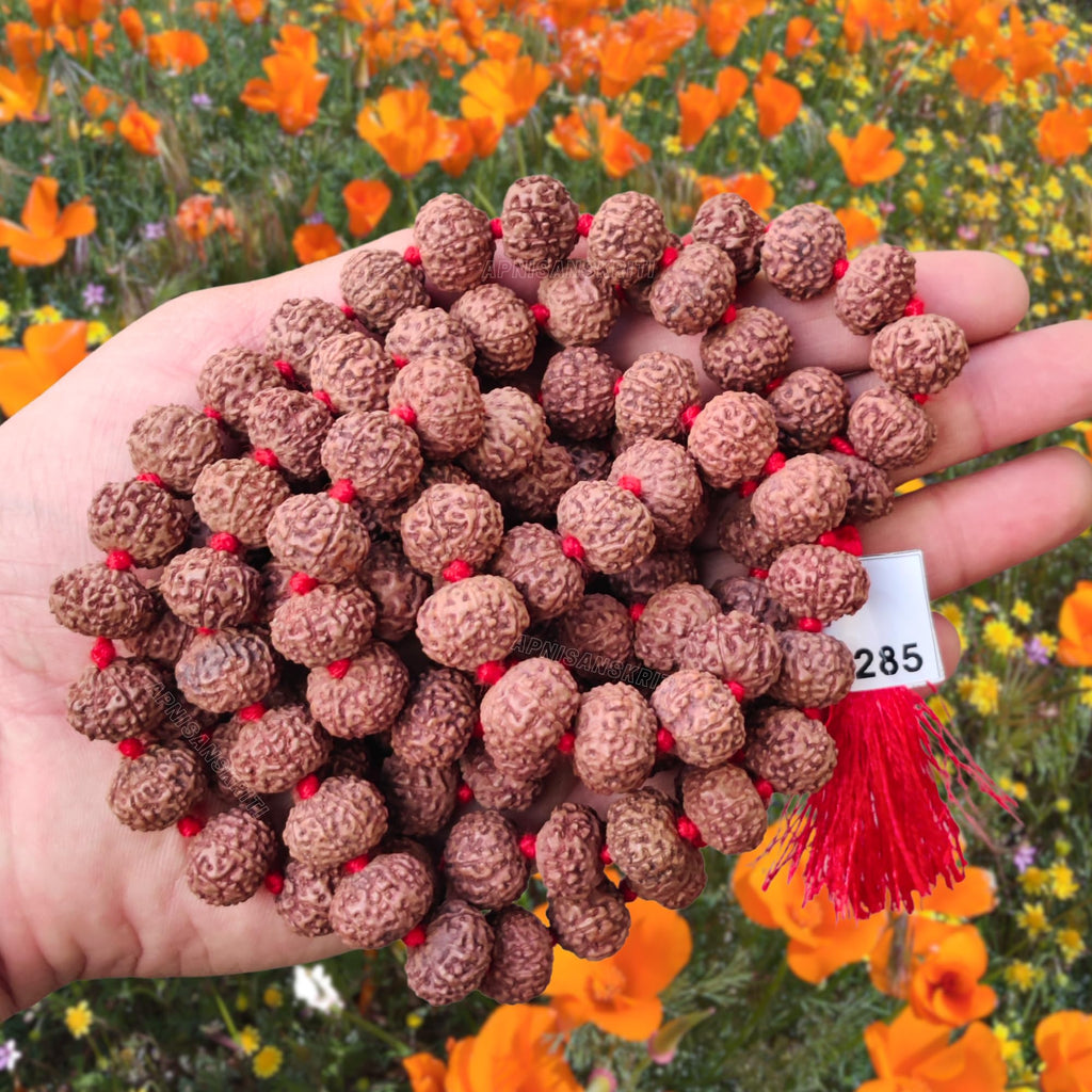 Apnisanskriti 8 Mukhi Rudraksha Mala 14-15mm - Enhance Spiritual Harmony and Healing (Pack of 1)