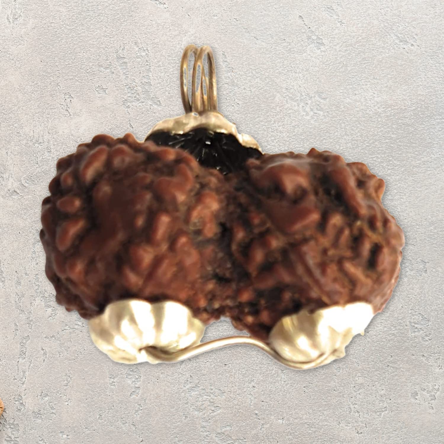 Apnisanskriti Nepal Gauri Shankar Rudraksha Locket for Men/Women Wearing - Natural Brown Lab Certified Rudraksh (Big Size, 23 mm) - Pack of 1