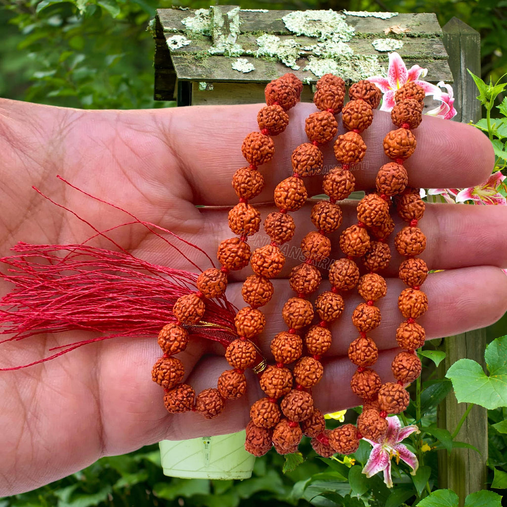 Apnisanskriti 5 Mukhi Rudraksha Mala for Men/Women Wearing (108+1, Lab Certified, Natural Brown Rudraksha Beads)