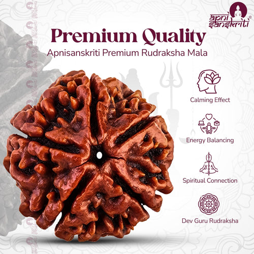 Apnisanskriti 5 Mukhi Rudraksha Mala for Jaap and Men/Women Wearing (10mm, Big Bead Size, 108+1, Lab Certified) - Natural Brown Rudraksh Beads - Pack of 1