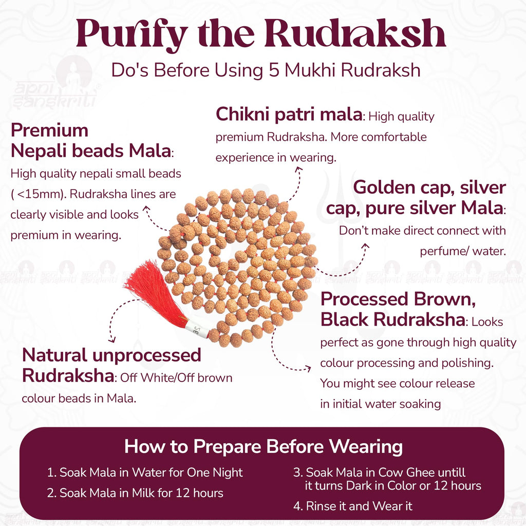 Apnisanskriti 5 Mukhi Chikni Pathri Rudraksha Mala For Jaap and Men/Women Wearing (12Mm, Lab Certified, Big Bead Size, 108+1) - A+ Grade - Pack Of 1