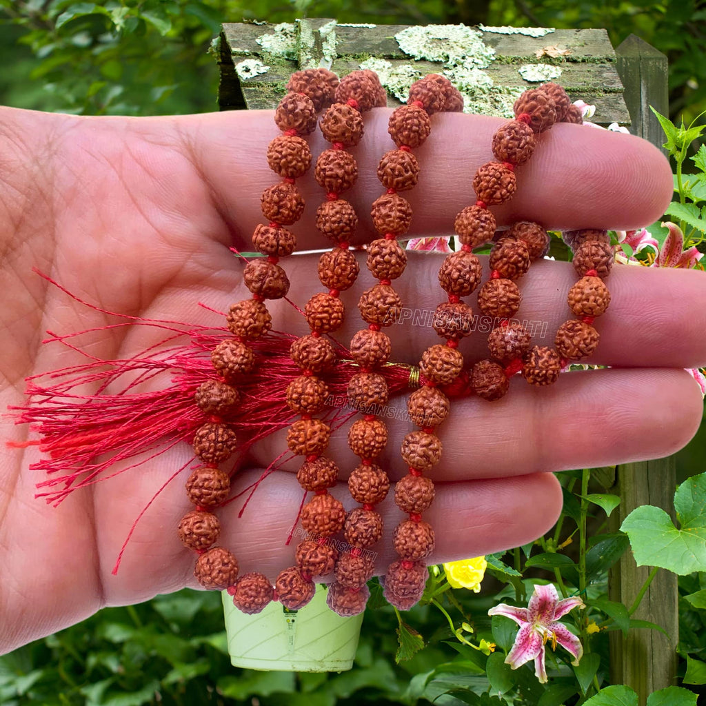 Apnisanskriti 5 Mukhi Rudraksha Mala for Men/Women Wearing (108+1, Lab Certified, Natural Brown Rudraksha Beads)
