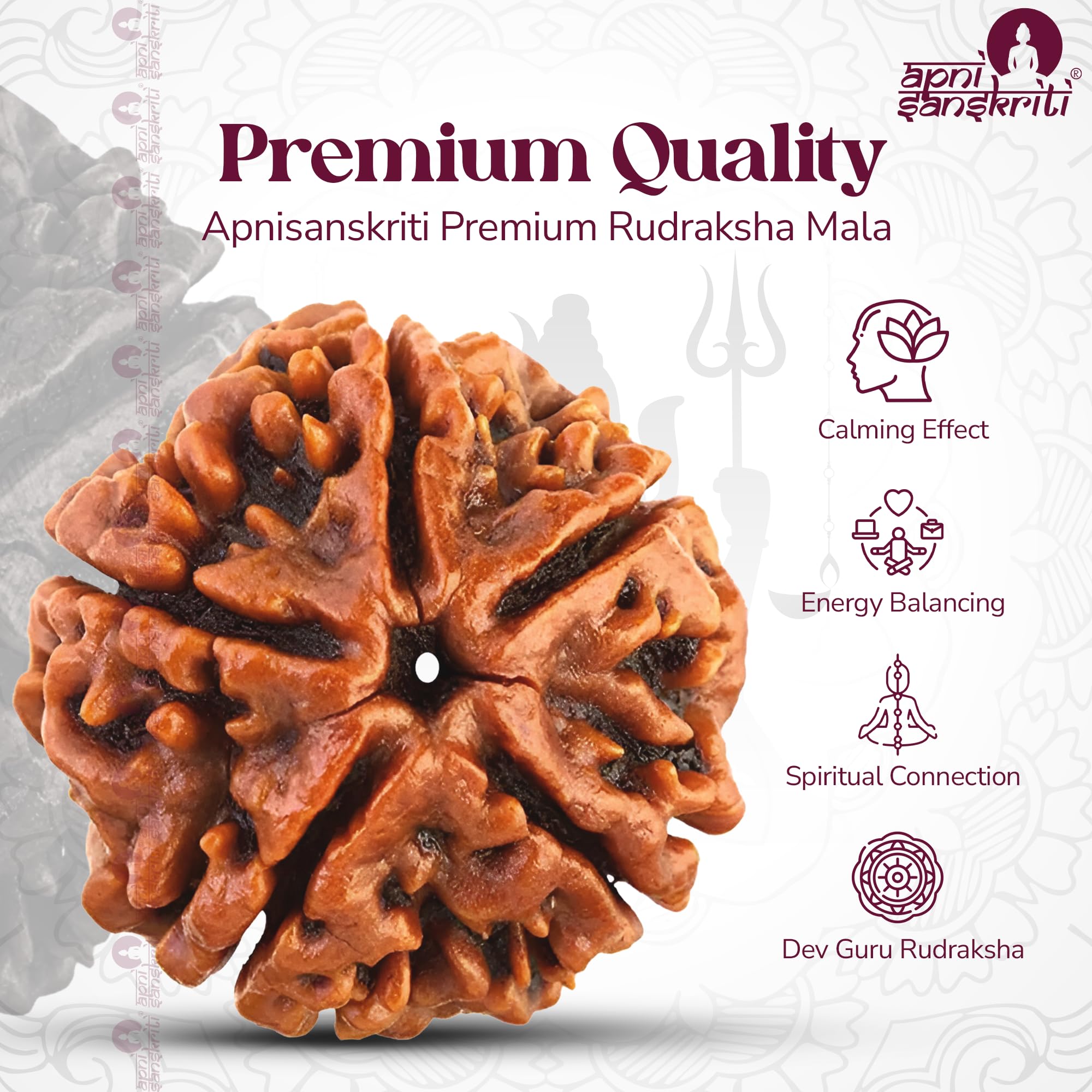 Apnisanskriti 5 Mukhi Rudraksha Mala for Jaap and Men/Women Wearing (10mm, Big Bead Size, 108+1, Lab Certified) - Natural Rudraksh Beads - Pack of 1