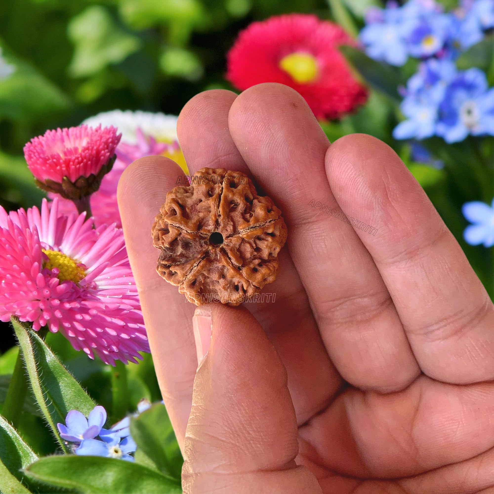 Apnisanskriti Certified Nepali 5 Mukhi Beads - Natural Beads for Men and Women