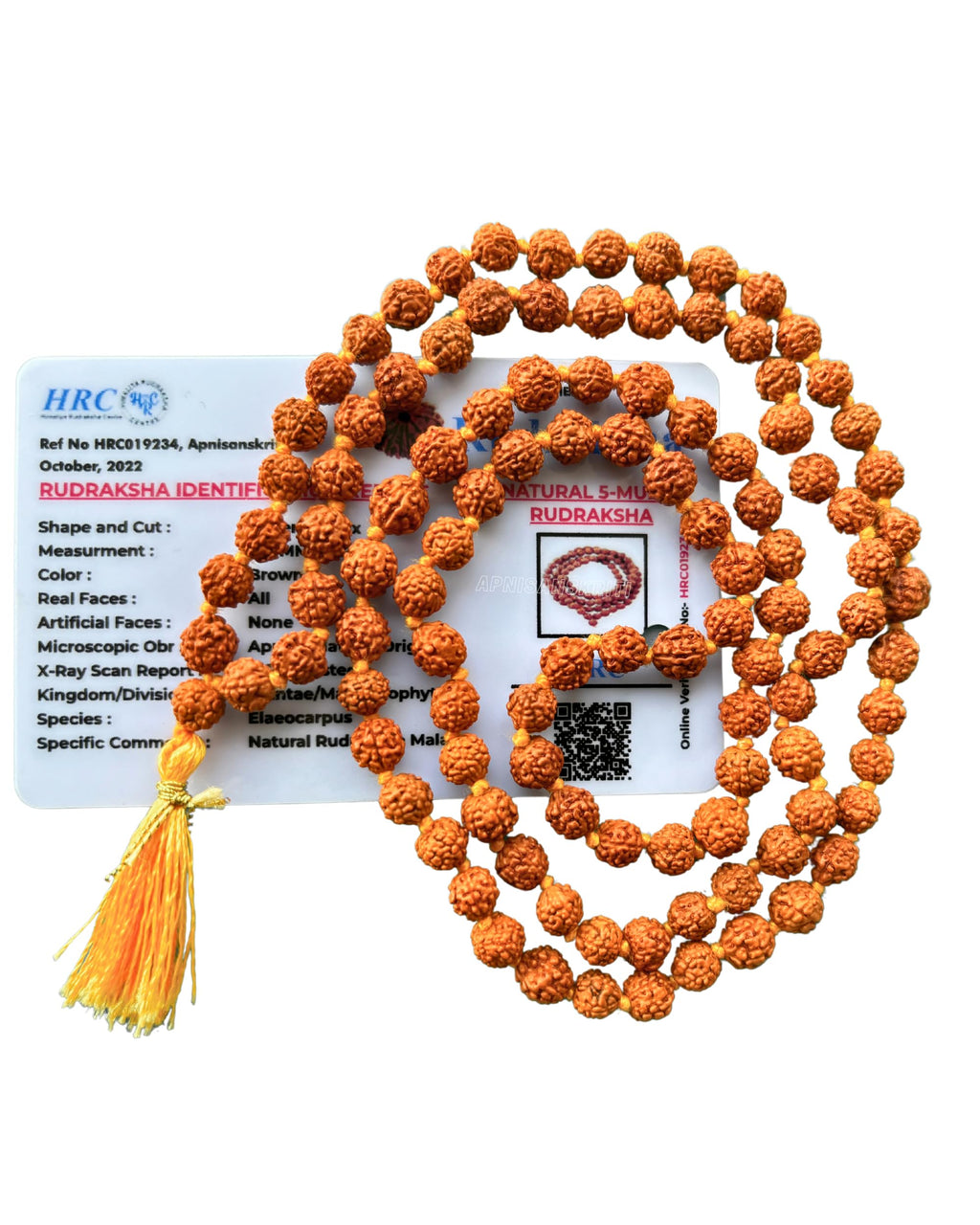 Apnisanskriti 5 Mukhi Rudraksha Mala for Men/Women Wearing (108+1, Lab Certified, Natural Brown Rudraksha Beads)