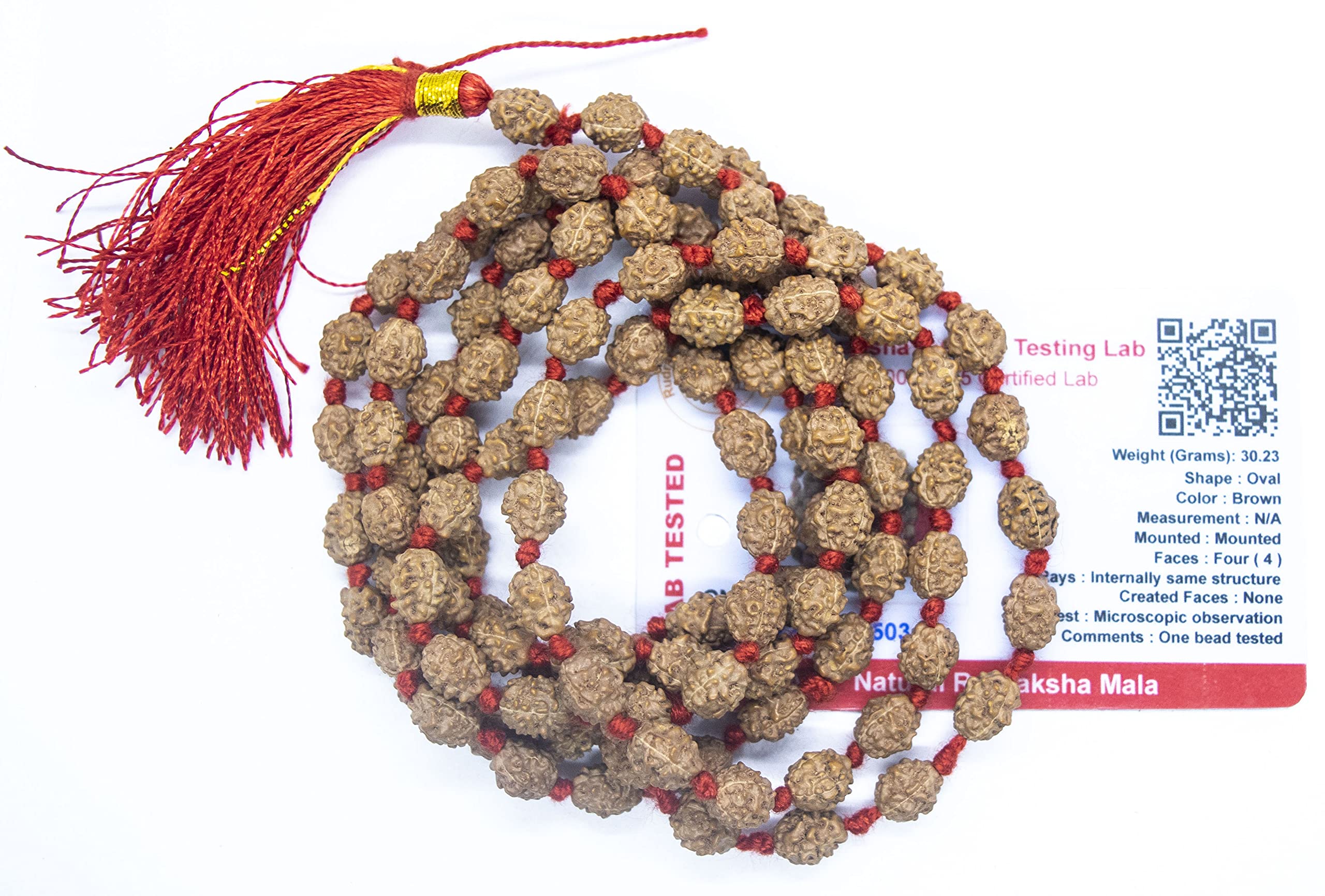 Apnisanskriti 2-10 Mukhi Rudraksha Beads Mala (108 Beads, Lab Certified) - Natural Rudraksha Beads - Pack of 1