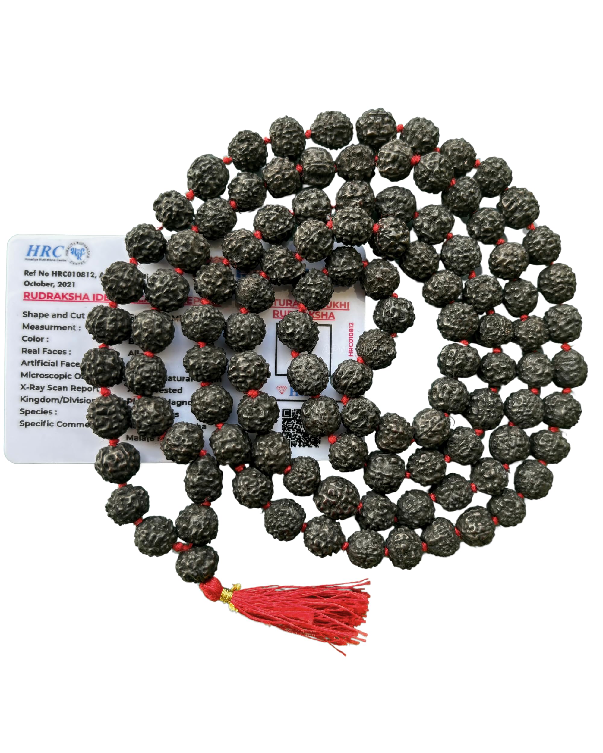 Apnisanskriti 5 Mukhi Black Rudraksha Mala (108+1 Beads, Lab Certified) Natural Black Rudraksha Beads
